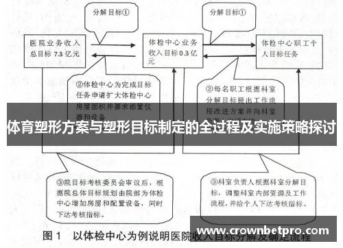 体育塑形方案与塑形目标制定的全过程及实施策略探讨